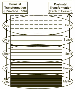 Energetic fields